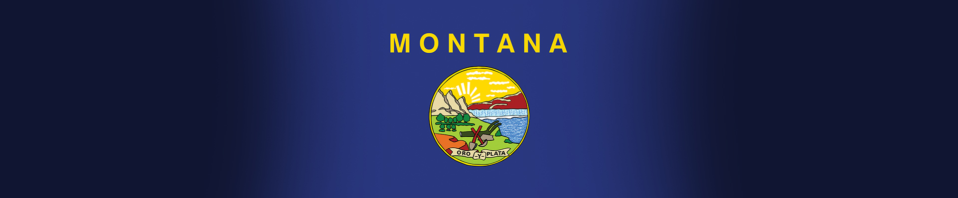 Montana Flag