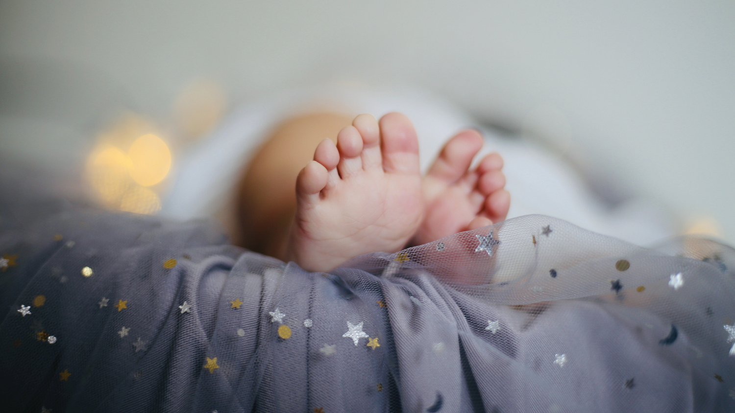 Schenck v. Pro-Choice Network of Western New York