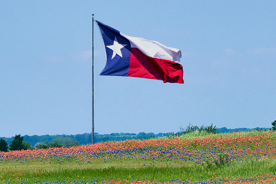Texas flag